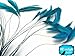 1 Dozen - TURQUOISE Stripped Coque Tail Feathers