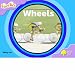 Books : Oxford Reading Tree: Stage 1+: Fireflies: Class Pack (36 books, 6 of each title)
