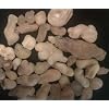 200g Frankincense Resins (Somalia), Boswellia Carteri