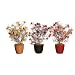 Set of 3 Potted Artificial Moss Rose Flower Arrangements