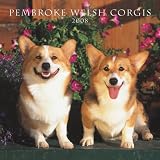 Welsh Corgis, Pembroke 2008 Square Wall Calendar