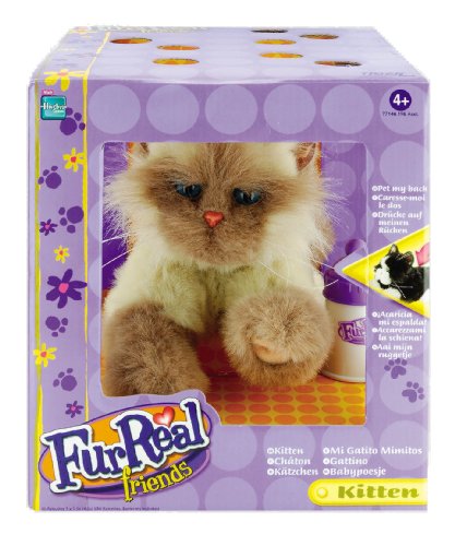 Childrens Toyshop  Toys : Fur Real Kitten