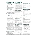 Lotus Notes 6 Calendar Quick Reference Guide (Cheat Sheet of Instructions, Tips and... by  Beezix Inc