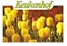 Keukenhof