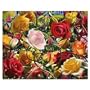 Visual Echo 3D Effect Wild Rose Tango 3D Lenticular Puzzle 500pc S5