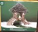 Department 56 North Pole Woods Gone Fishing