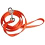 Premier Nylon Leash 3/8 in X 4 Ft - Blaze Orange