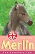 Merlin: The Homeless Foal (Animal Rescue)