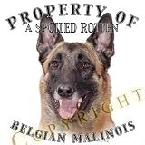 Belgian Malinois Property Of Adult Long Sleeve T Shirt