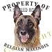 Belgian Malinois Property Of Adult Long Sleeve T Shirt
