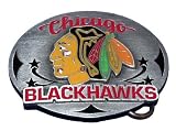 TH9 Chicago Blackhawks NHL Hockey Belt Buckle Ice