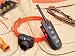 Pet Supplies : Dogtra 2500 T&B Series Beeper / Trainer Combo Collars