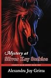 Mystery at Silver Key Stables: Charity Book Series, Book One