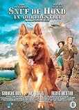 Sniff The War Hero ( Snuf de hond in oorlogstijd ) [ NON-USA FORMAT, PAL, Reg.0 Import - Netherlands ]