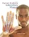 Human Anatomy Lab Manual