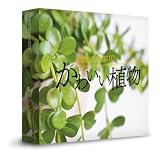 かわいい植物の写真素材（かわいい植物、味わいのある植物の写真素材を225枚以上収録）
