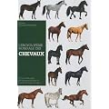 L'Encyclop�die mondiale des chevaux de race : Plus de 150 races de chevaux de selle et poneys de tous les pays