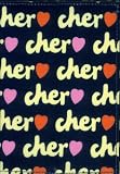Cher手帳 2010