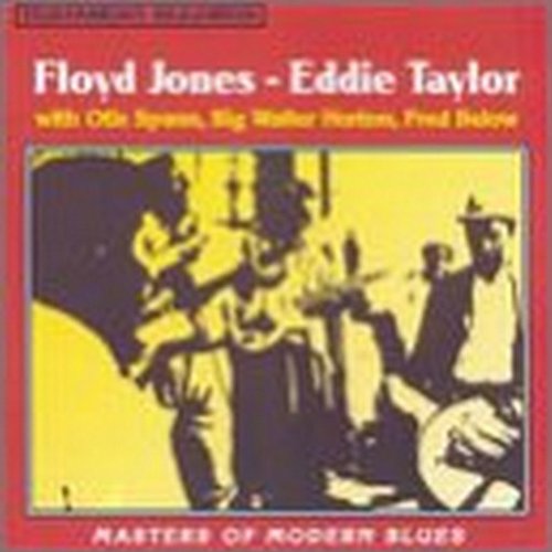 Eddie Taylor - Masters Of Modern Blues - Zortam Music