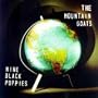 Nine Black Poppies