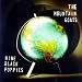 Nine Black Poppies
