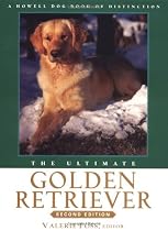 The Ultimate Golden Retriever