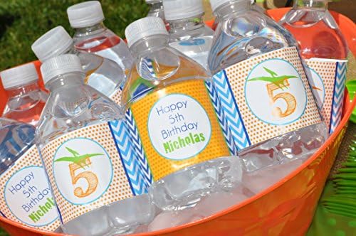 Dinosaur Water Bottle Labels - Drink Labels - Birthday Party Decorations - Set of 10