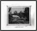 Historic Print (L): [Botanical gardens of the Imperial Military Medical School] / fotograf Foebus.