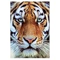 Tiger Face 1,000-pc. Puzzle