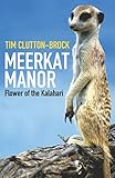 Meerkat manor : Flower of the Kalahari