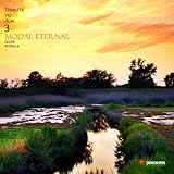 Tribute to Jun 3: Modal Eternal (Nujabes Tribute)