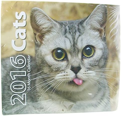 2016 Adorable Cats16 Month Calendar/Planner Gift Set (3-Pack)