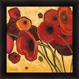Poppies Wildly I by Shirley Novak Red Orange Modern Floral Wall Art Print Framed Décor