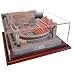 NCAA 4750 Limited Edition Platinum Series Stadium Replica of Sanford Stadium Georgia Bulldogs