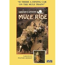 Grand Canyon Mule Ride
