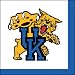 University of Kentucky Wildcats Luncheon Napkins