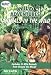 Wild Adventure Animals (PC)