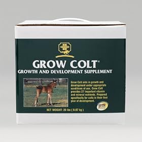  Farnam 31026 Grow Colt 20#