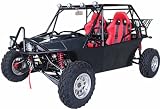 800cc Go Kart Water Cooled