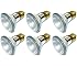 Pack Of 6 39PAR20/FL 120V 39 Watt High Output (50W Replacement) 39W PAR20 Flood 120 Volt Halogen Par 20 Light Bulbs