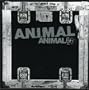 Animal 6