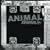 Animal 6