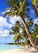 Wallmonkeys Peel and Stick Wall Decals - La Palmilla (02) - 24