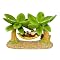 Circo Monkey Soap Dish