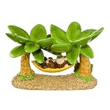 Circo Monkey Soap Dish