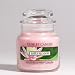 Lotus Blossoms - 3.7oz Yankee Candle Jar