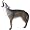 Delta Howling Coyote 3D Target