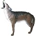 Delta Howling Coyote 3D Target