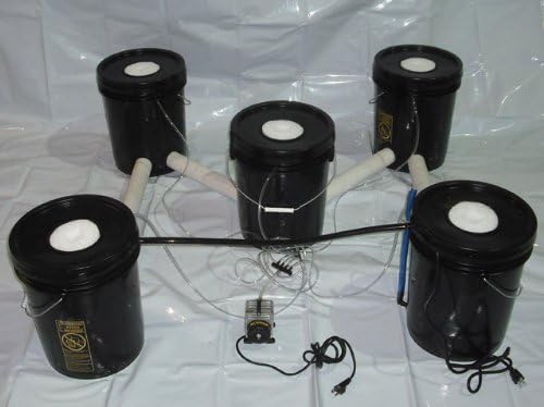 5 Bucket Deep Water Culture Hydroponics Systems