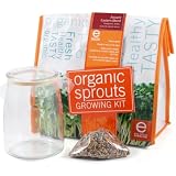 Eco Culture Organic Ancient Eastern Blend Sprouts Growing Kit Reviews 51SiQeQfFlL. SL160 Eco Culture Organic Ancient Eastern Blend Sprouts Growing Kit Reviews